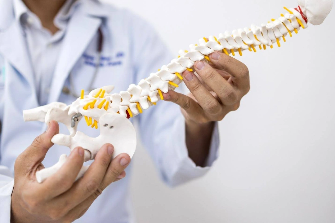 spinal health.