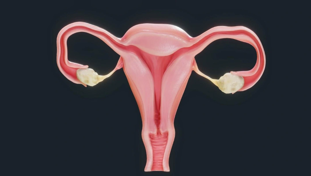 how to improve reproductive health.