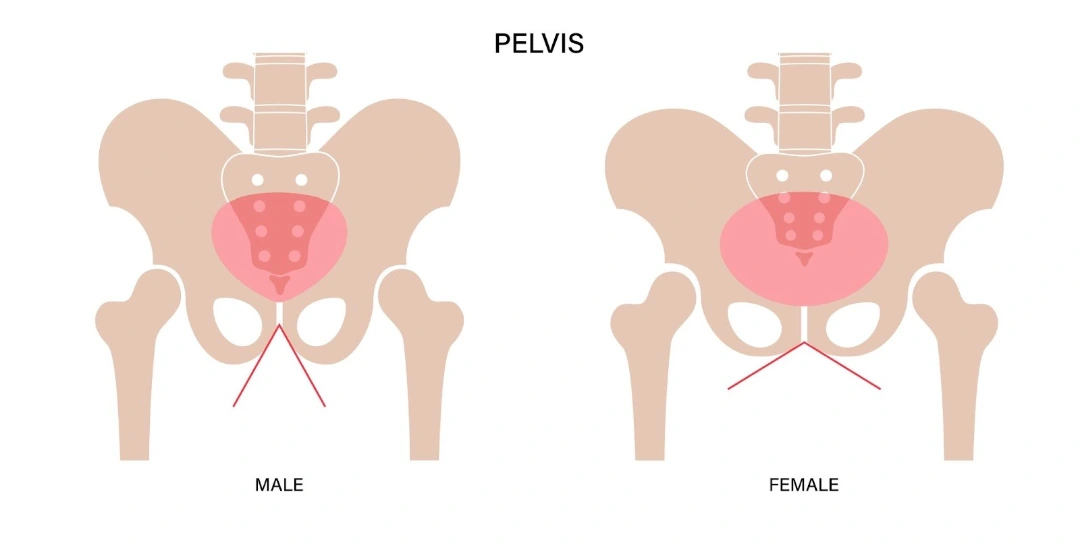 pelvic pain Singapore.