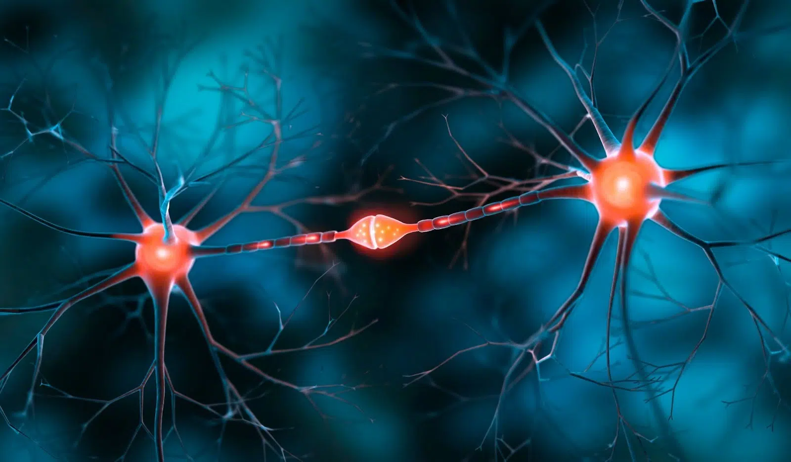 neuromodulation therapy number of sessions and treatment phases.